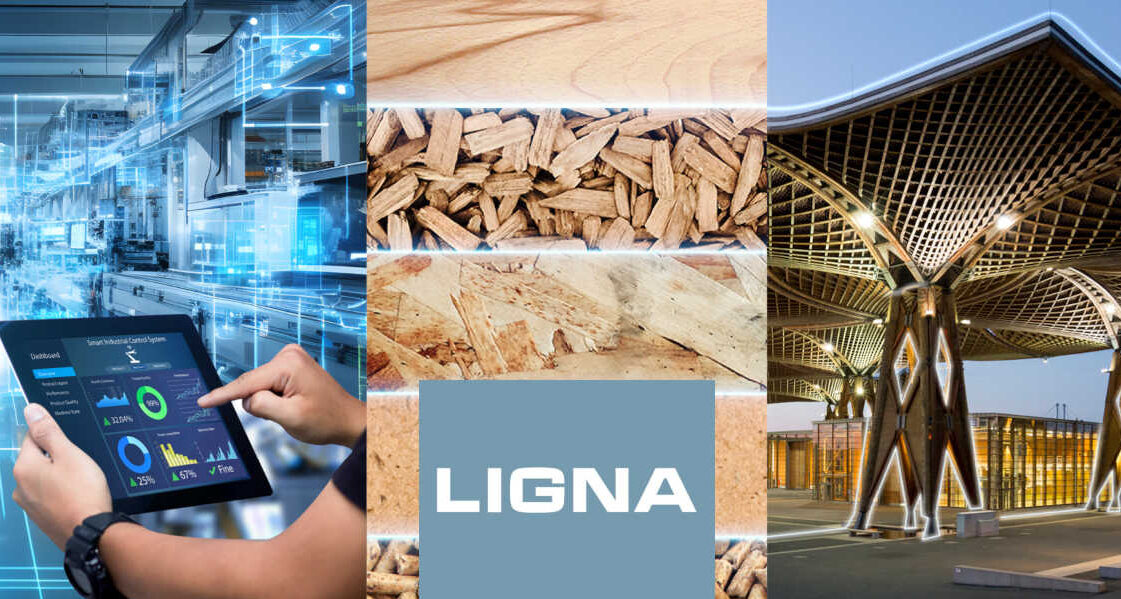 Ligna-2025-raport-aspect-1160-620